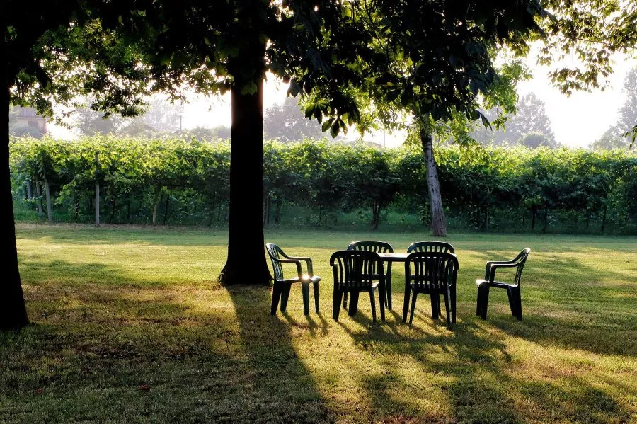 Immagine Podere Francesco 3