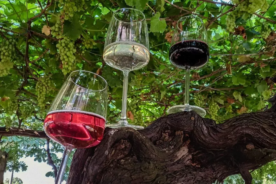 Immagine Podere Francesco 4