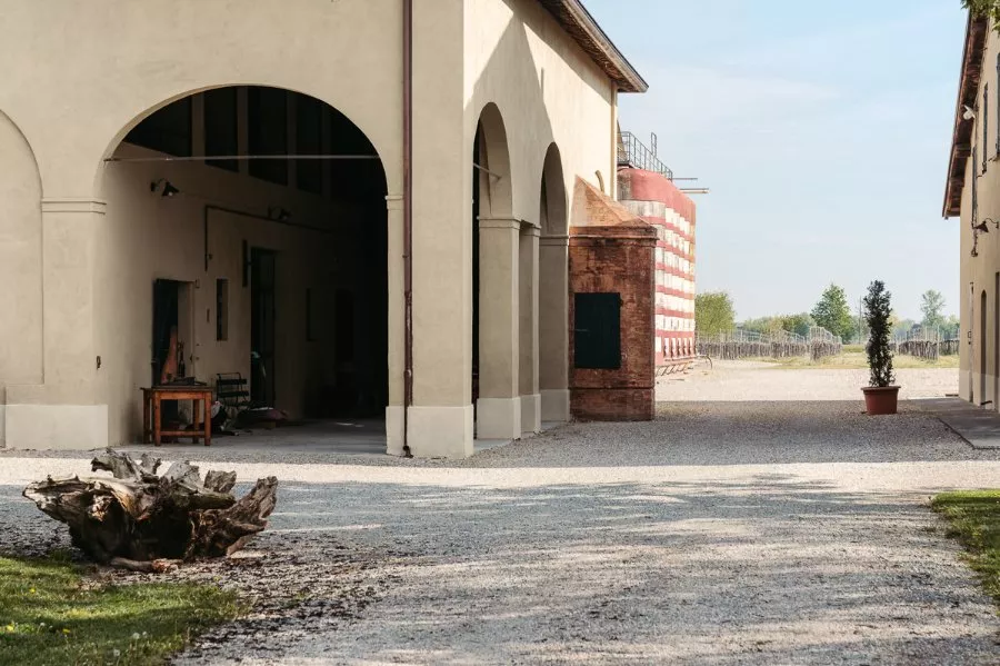 Immagine Tours and tastings in the vineyard, winery and ancient vinegar cellar. 7 Immagine Tours and tastings in the vineyard, winery and ancient vinegar cellar. 7