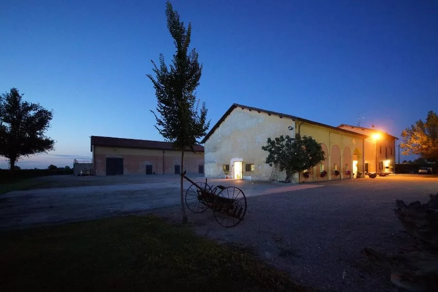 Immagine Tours and tastings in the vineyard, winery and ancient vinegar cellar. 9 Immagine Tours and tastings in the vineyard, winery and ancient vinegar cellar. 9