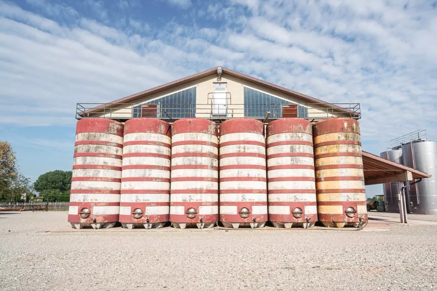 Immagine Tours and tastings in the vineyard, winery and ancient vinegar cellar. 10 Immagine Tours and tastings in the vineyard, winery and ancient vinegar cellar. 10
