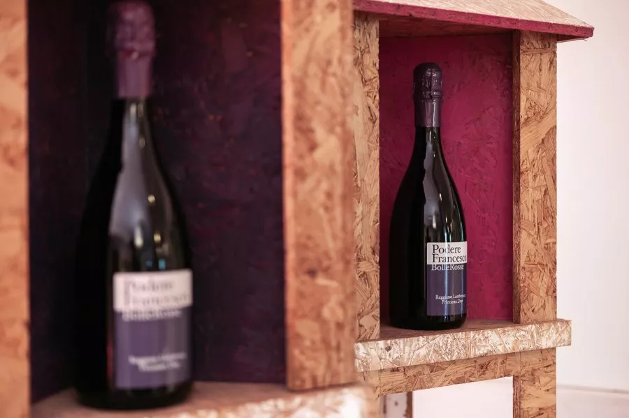 Immagine Tours and tastings in the vineyard, winery and ancient vinegar cellar. 11 Immagine Tours and tastings in the vineyard, winery and ancient vinegar cellar. 11