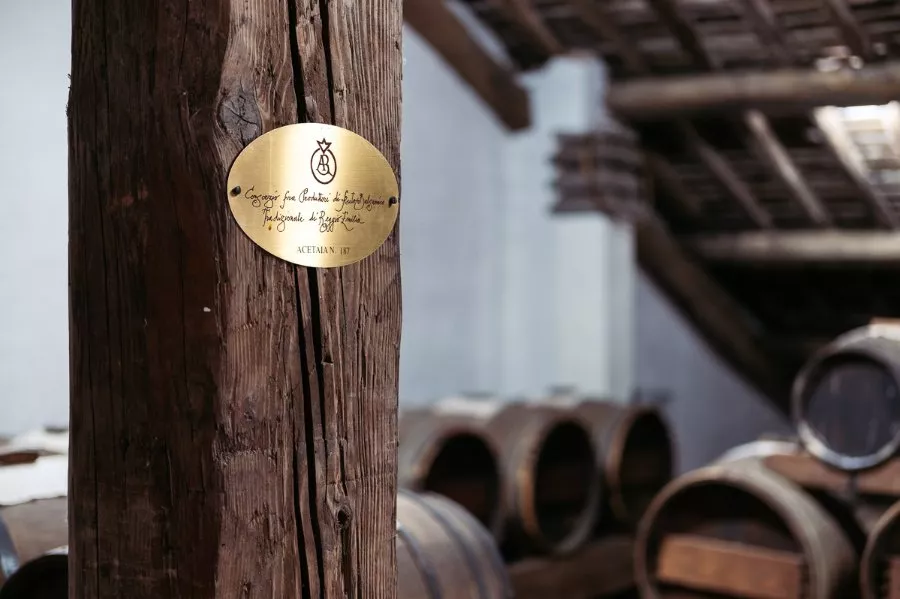Immagine Tours and tastings in the vineyard, winery and ancient vinegar cellar. 17 Immagine Tours and tastings in the vineyard, winery and ancient vinegar cellar. 17