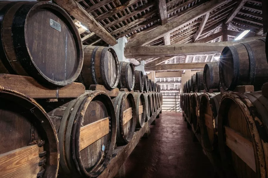 Immagine Tours and tastings in the vineyard, winery and ancient vinegar cellar. 18 Immagine Tours and tastings in the vineyard, winery and ancient vinegar cellar. 18