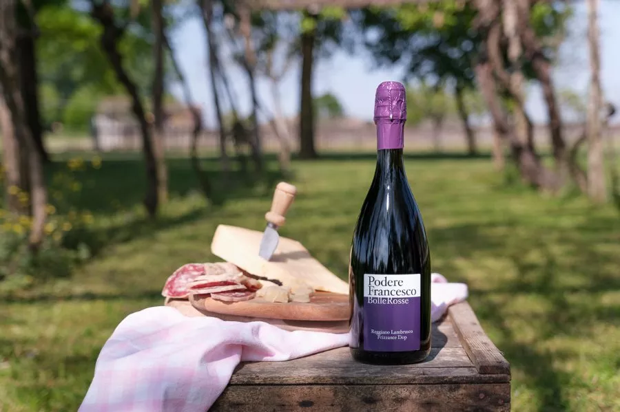 Immagine Tours and tastings in the vineyard, winery and ancient vinegar cellar. 20 Immagine Tours and tastings in the vineyard, winery and ancient vinegar cellar. 20