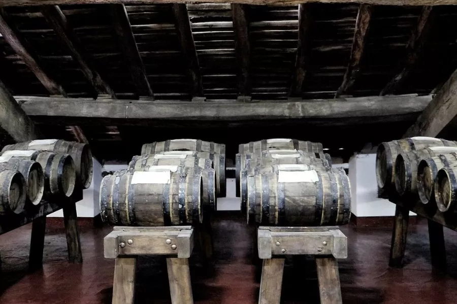 Immagine Tours and tastings in the vineyard, winery and ancient vinegar cellar. 21 Immagine Tours and tastings in the vineyard, winery and ancient vinegar cellar. 21