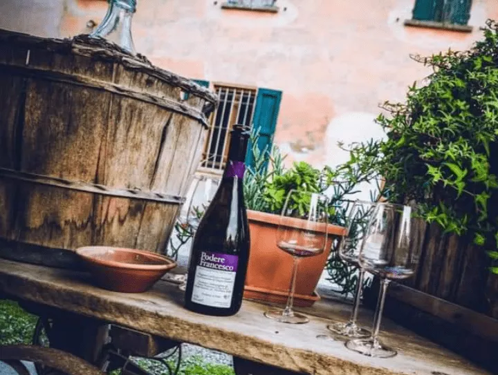 Immagine Podere Francesco 2