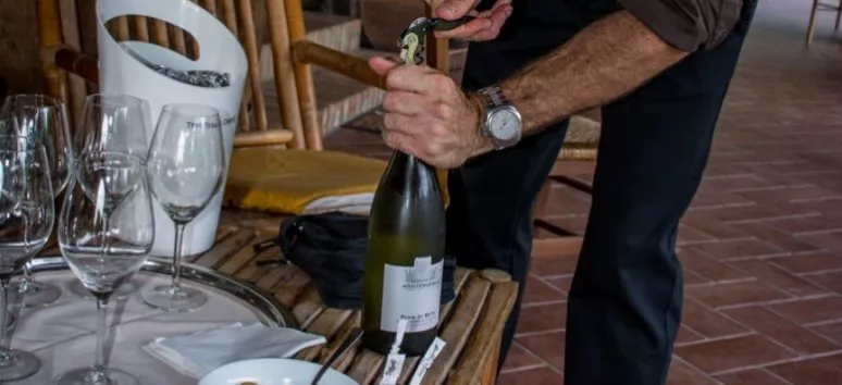 Immagine visita Il Vermentino di Monterufoli cantina Monterufoli