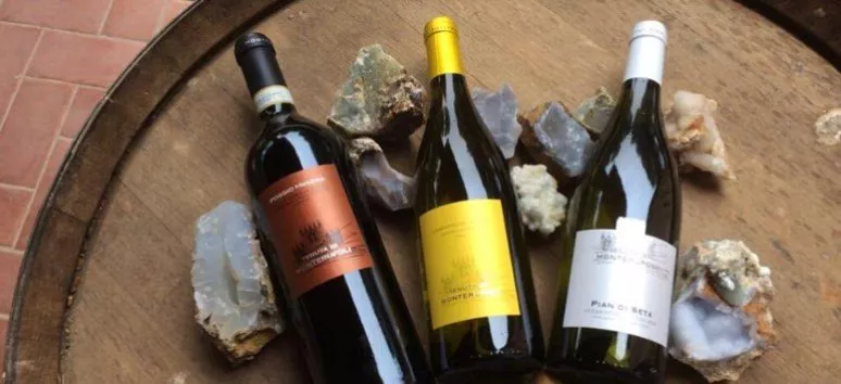 Immagine visita I vini di Monterufoli cantina Monterufoli