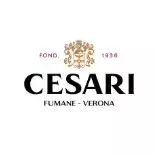 Cesari Verona logo Cesari Verona logo