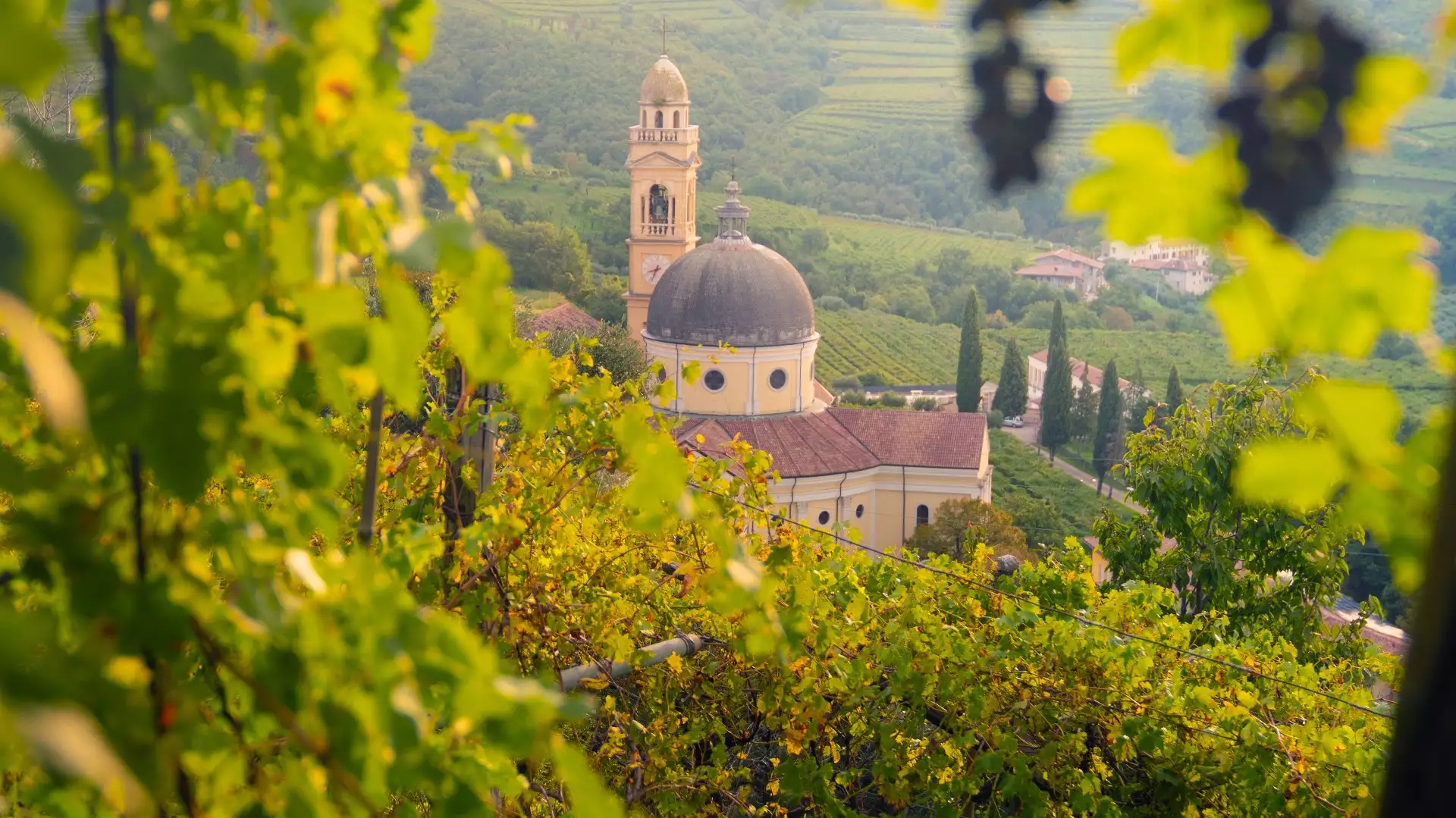 Immagine La Vigna | Fumane 7 Immagine La Vigna | Fumane 7