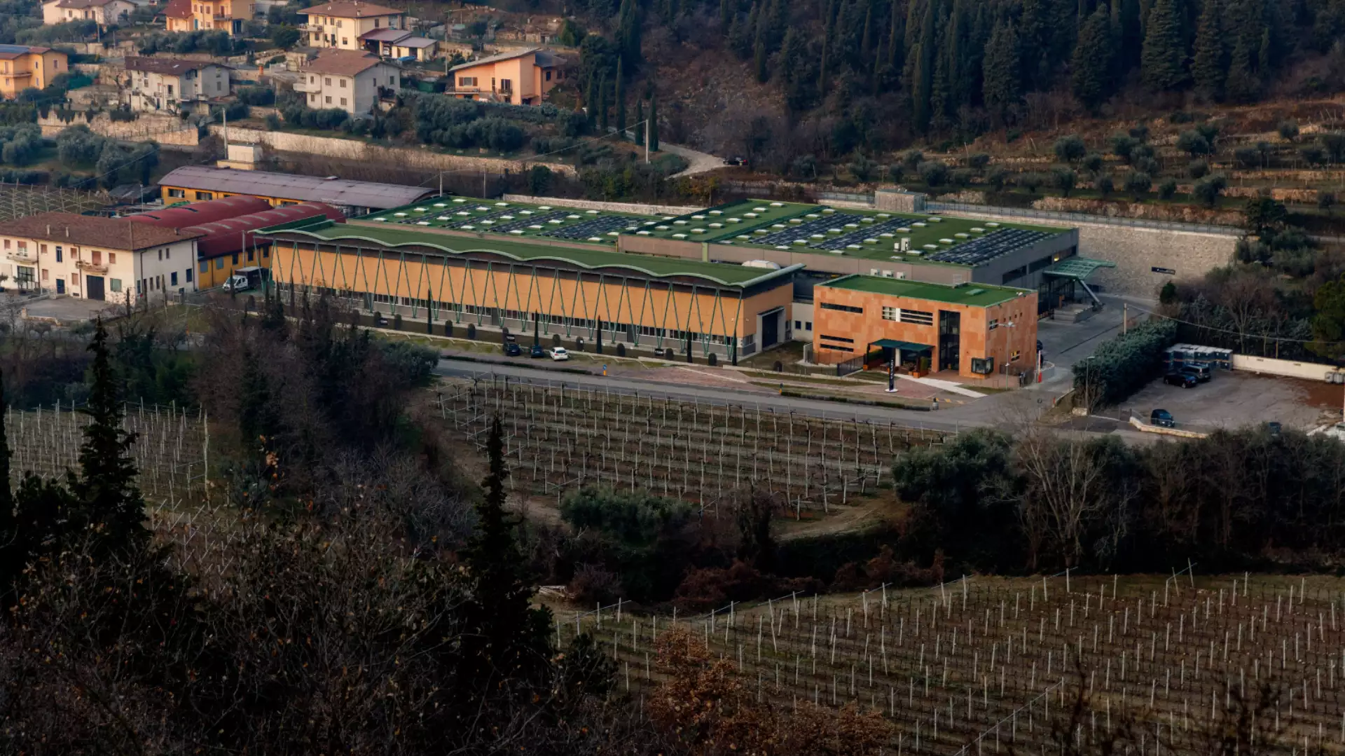 Immagine La Vigna | Fumane 13 Immagine La Vigna | Fumane 13