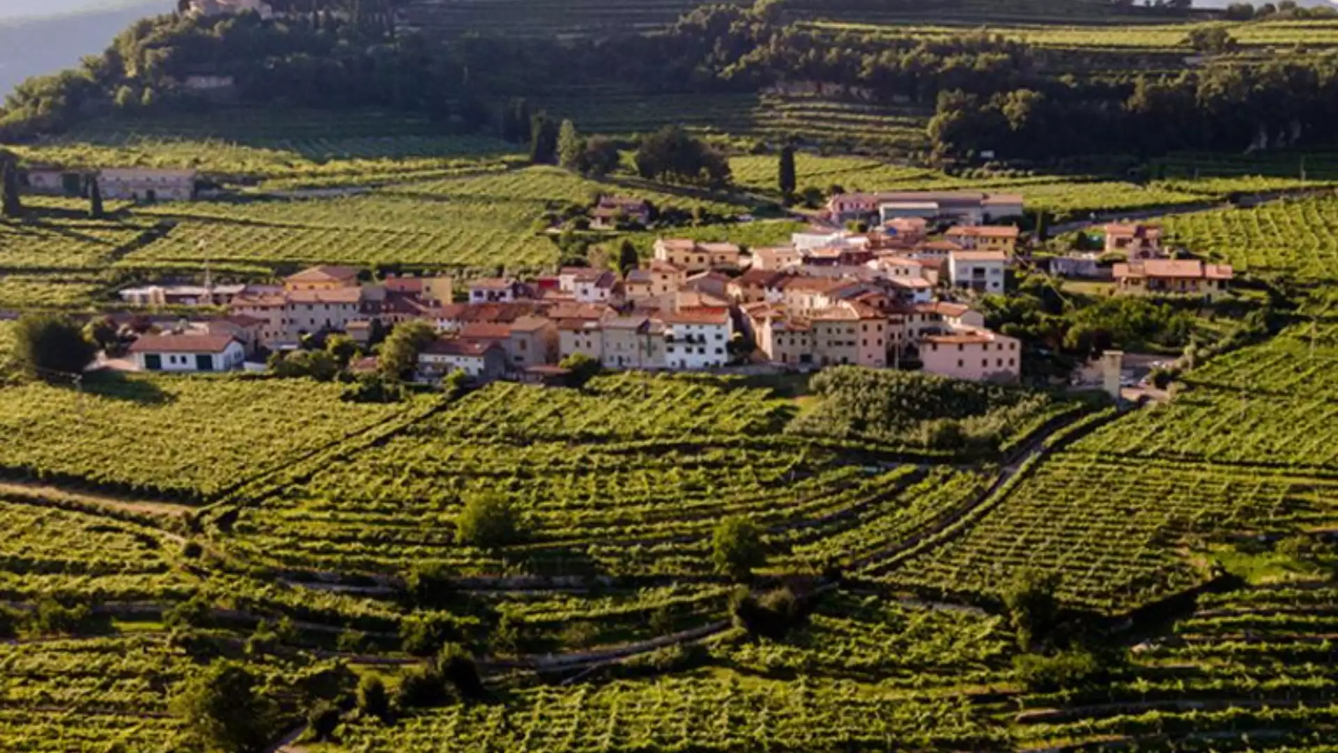 Immagine visita La Vigna | Fumane cantina Cesari Verona Immagine visita La Vigna | Fumane cantina Cesari Verona
