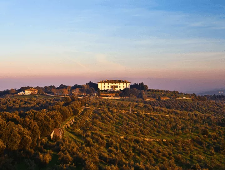 Immagine Tenuta Di Artimino 2