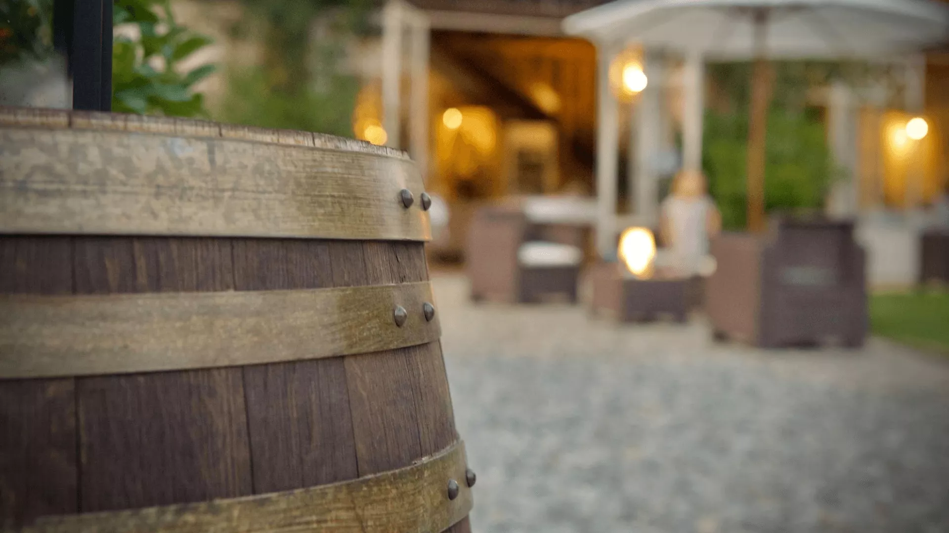 Immagine cantina Alberelle