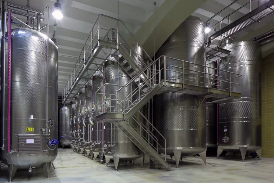 Immagine Avventura in vigna e degustazione in Cantina 4