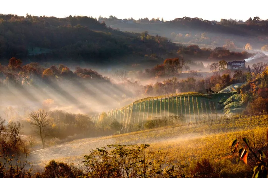 Immagine Avventura in vigna e degustazione in Cantina 8