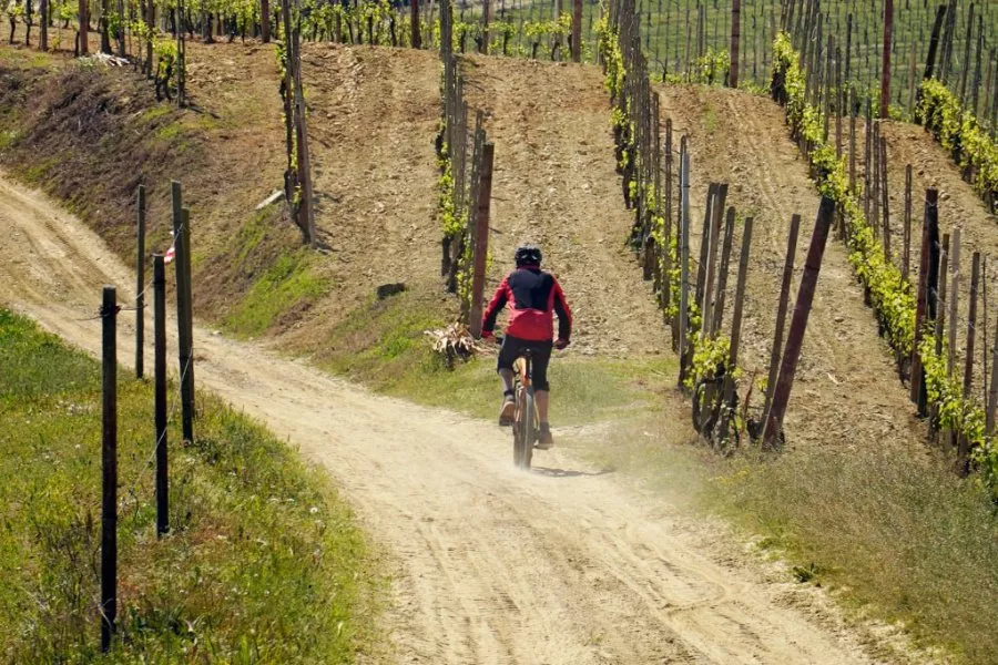Immagine Tenuta La Pergola 5 Immagine Tenuta La Pergola 5