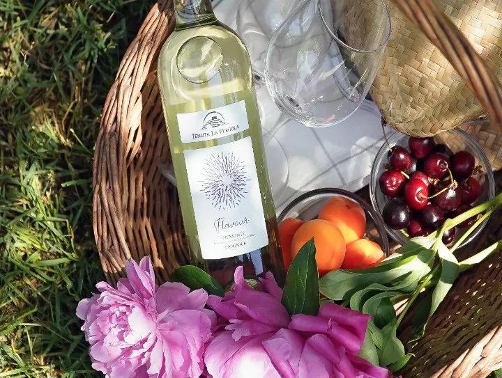 Immagine visita degustazione e picnic tra i vigneti cantina Tenuta La Pergola