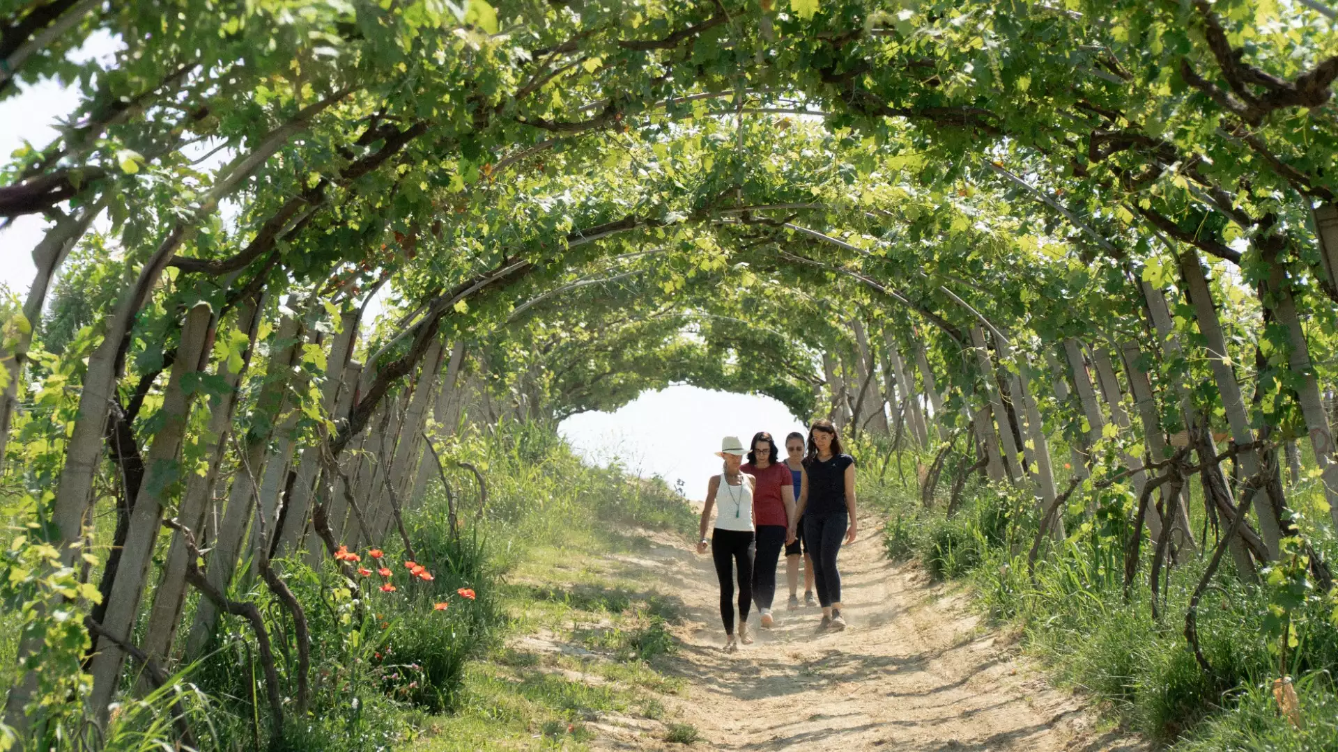 Immagine Tenuta La Pergola 2 Immagine Tenuta La Pergola 2