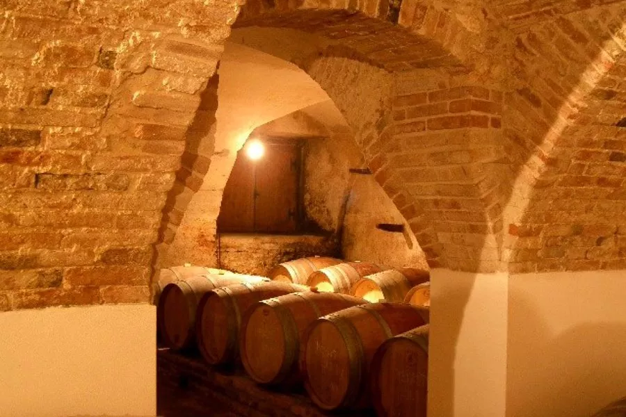 Immagine Visita e degustazione con passeggiata in vigneto 6