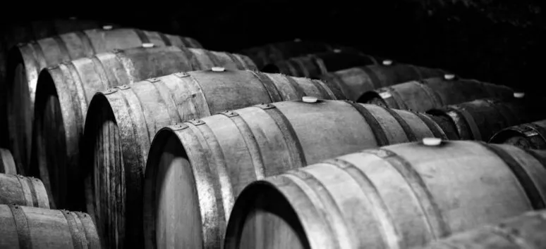 Immagine visita Visita e piccola lezione di degustazione