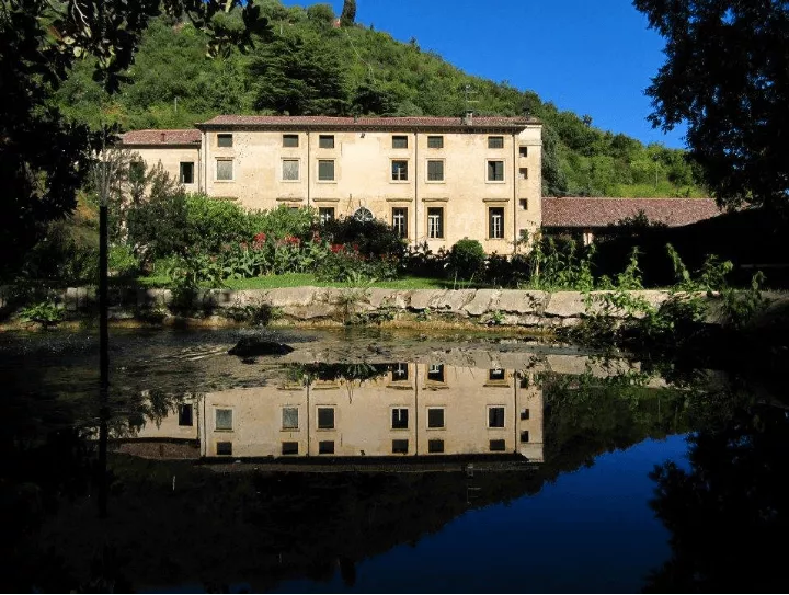 Immagine Visita e degustazione con passeggiata in vigneto 3