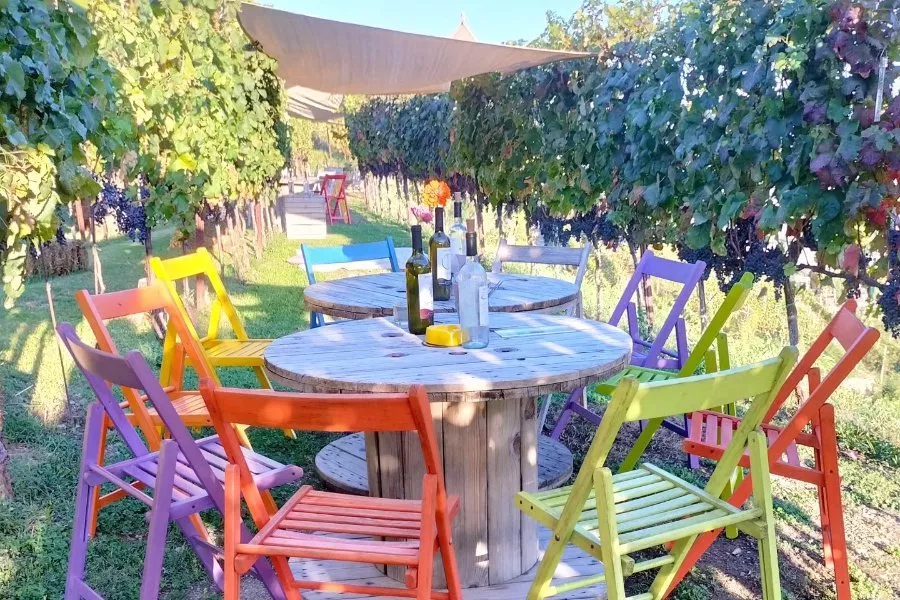 Immagine Tenuta Lonisa 8