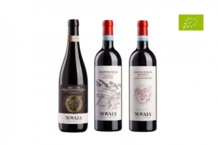 VALPOLICELLA IN GRIGLIATA Immagine pacchetto VALPOLICELLA IN GRIGLIATA