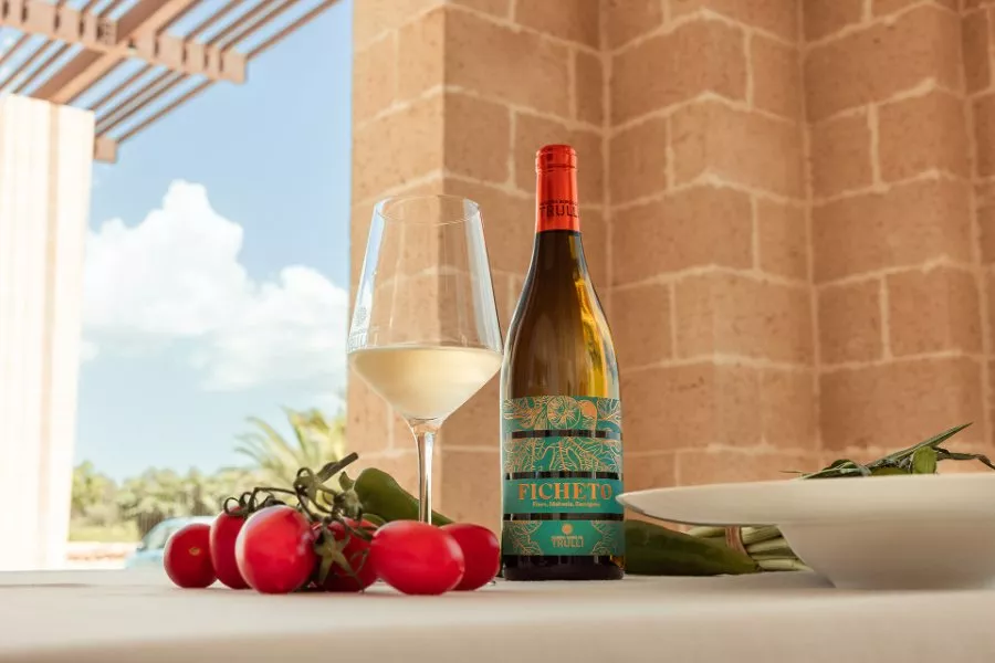 Immagine Tour Ficheto 2