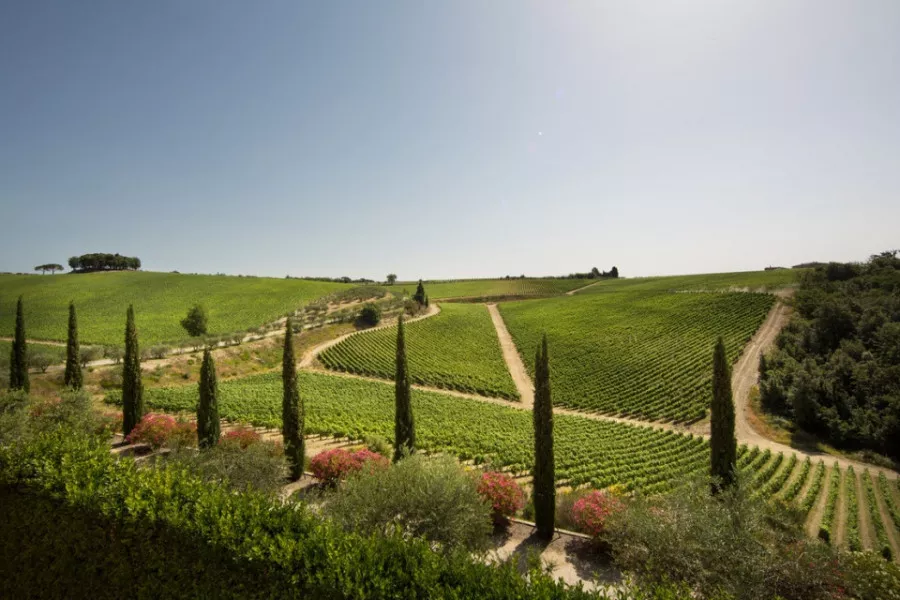 Immagine Picnic al Passo (min. 2 pax) 4