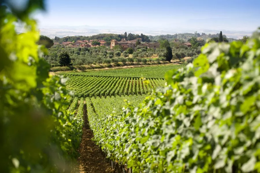 Immagine Picnic al Passo (min. 2 pax) 5