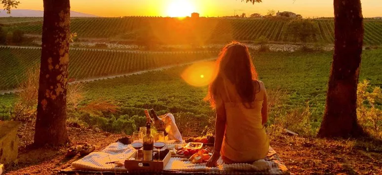 Immagine visita Picnic al Passo (min. 2 pax) cantina Tolaini