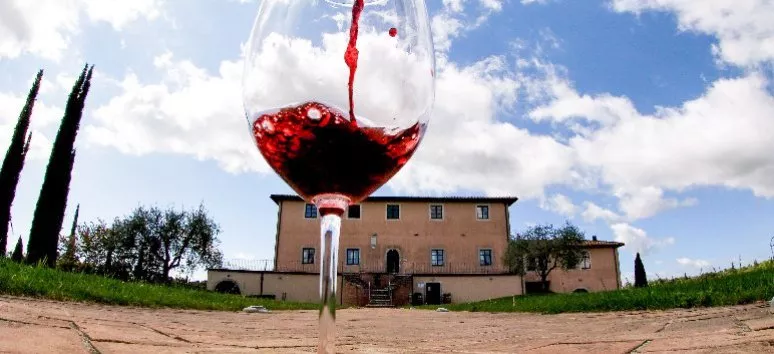 Immagine visita Tour + Degustazione di 6 etichette cantina Tolaini
