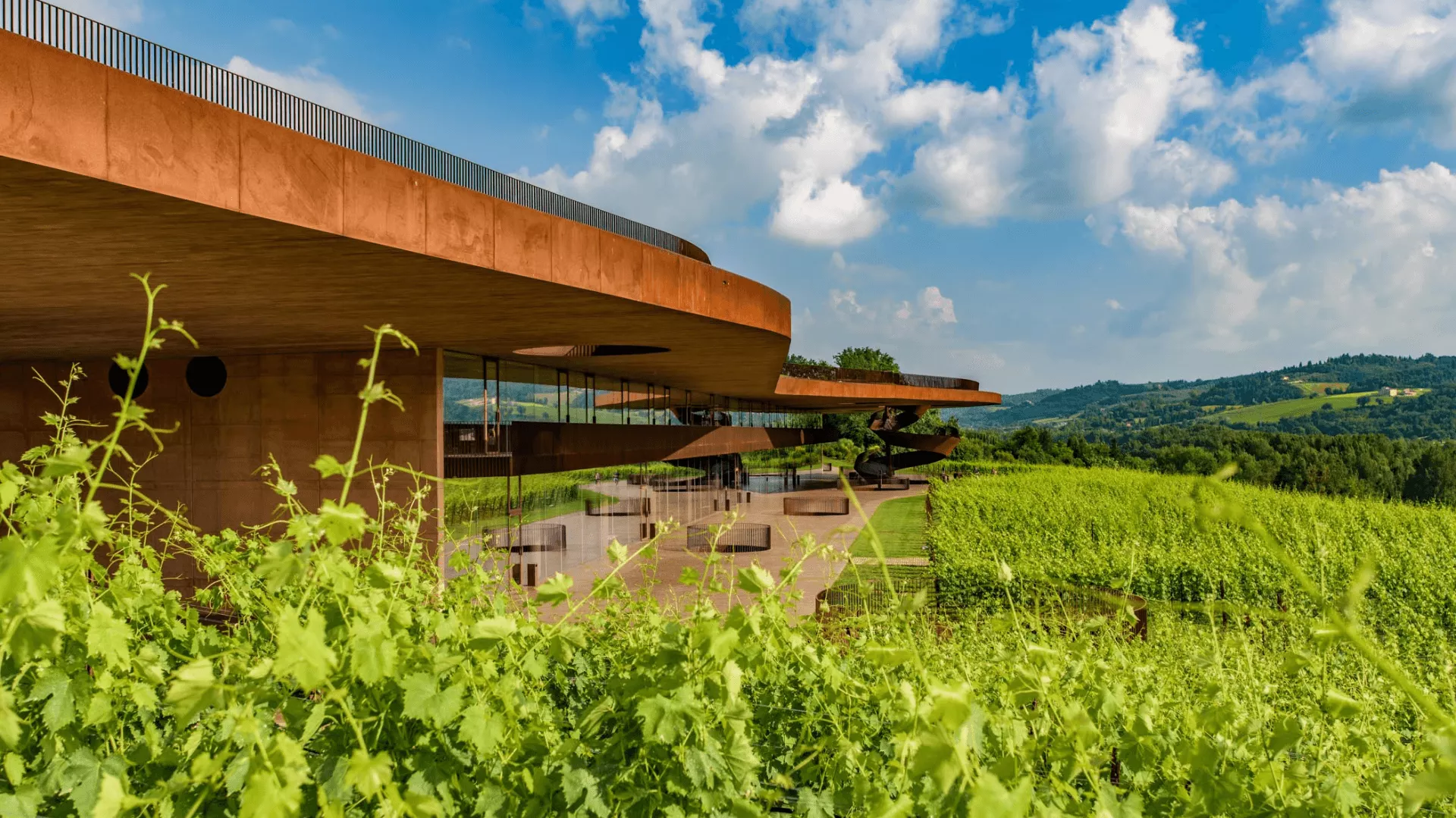 Immagine cantina Marchesi Antinori