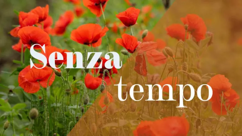 Immagine visita Senza Tempo Immagine visita Senza Tempo