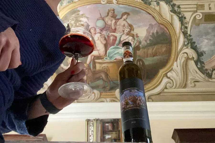 Immagine Visita in Villa e degustazione Moscato di Scanzo 6 Immagine Visita in Villa e degustazione Moscato di Scanzo 6