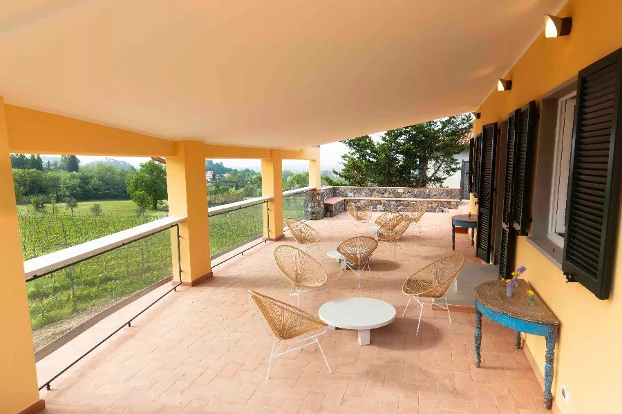 Immagine Picnic in vigna 7 Immagine Picnic in vigna 7