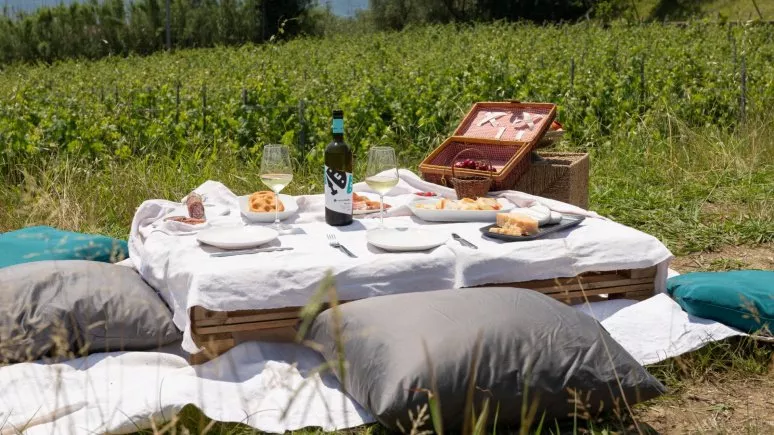 Immagine visita Picnic in vigna cantina La Colombiera