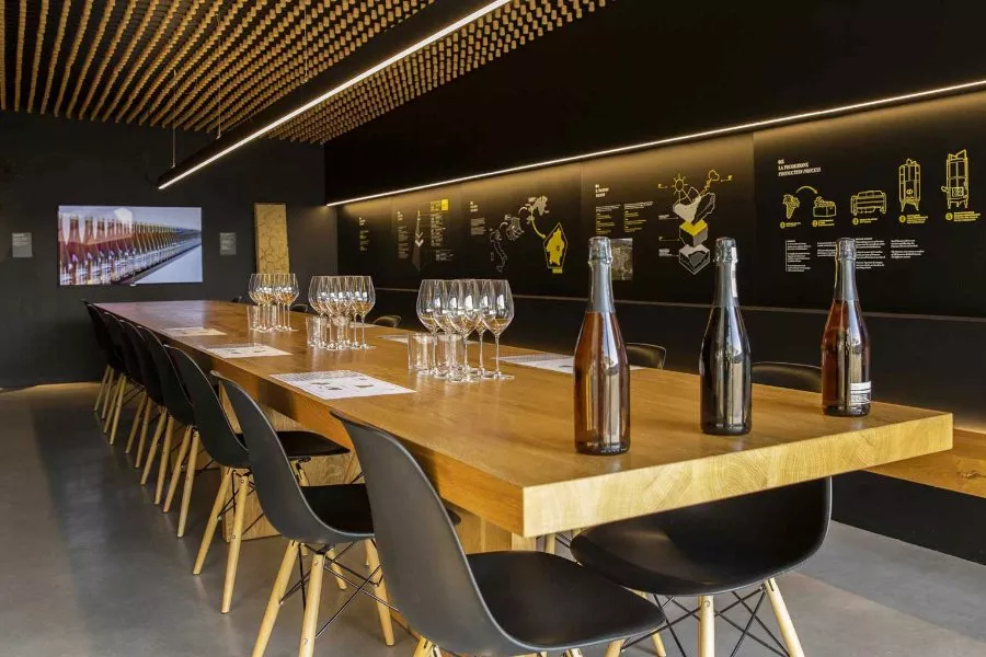Immagine DEGUSTAZIONE PROSECCO + STUZZICHINI + TOUR CANTINA E VIGNETO 5