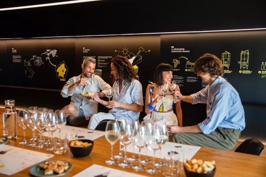 Immagine DEGUSTAZIONE PROSECCO + STUZZICHINI + TOUR CANTINA E VIGNETO 8
