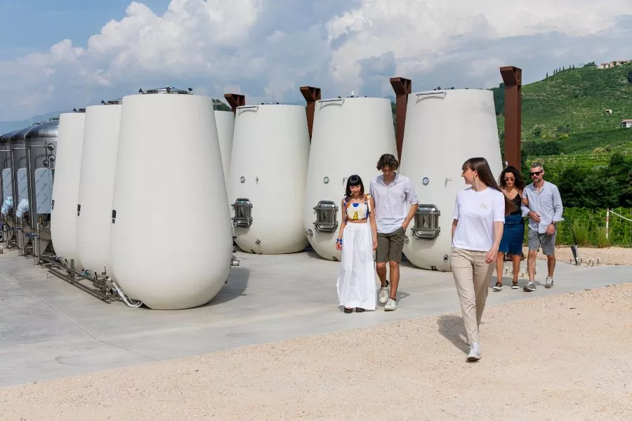 Immagine DEGUSTAZIONE PROSECCO + STUZZICHINI + TOUR CANTINA E VIGNETO 9