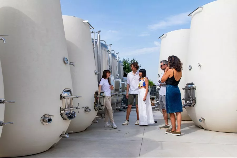 Immagine DEGUSTAZIONE PROSECCO + STUZZICHINI + TOUR CANTINA E VIGNETO 12