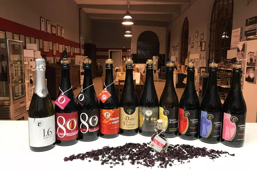 Immagine Visita con degustazione 4 calici e light lunch 9 Immagine Visita con degustazione 4 calici e light lunch 9