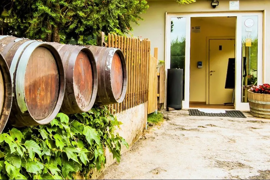 Immagine Degustazione di 4 vini  + 1 vino top  5