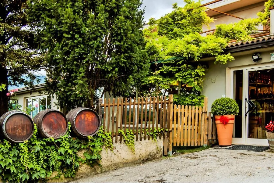 Immagine Degustazione di 4 vini 9 Immagine Degustazione di 4 vini 9