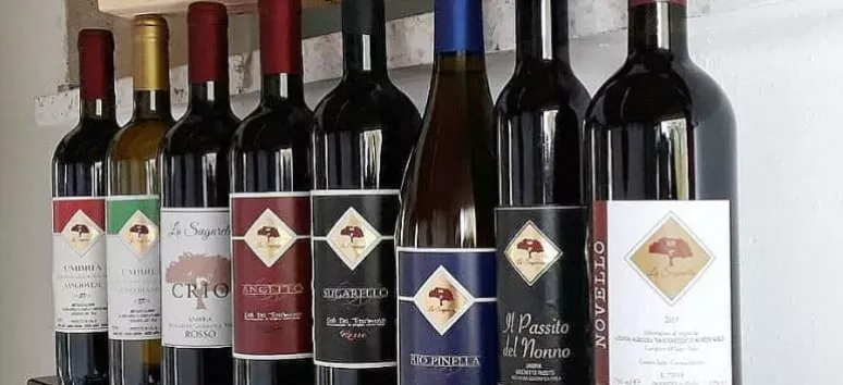 Immagine visita Degustazione Veloce cantina La Sugarella
