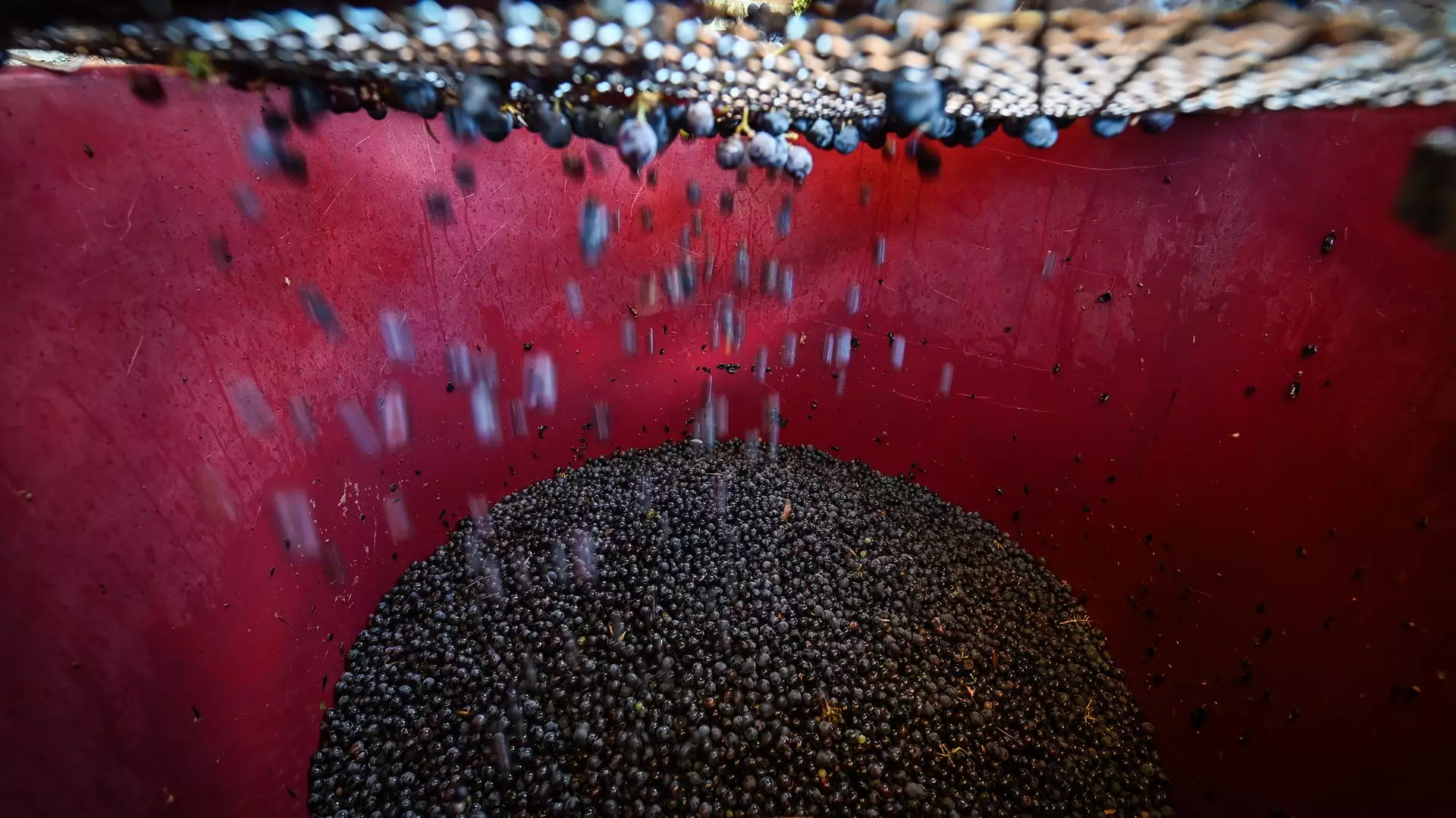 Immagine cantina Mani di Luna
