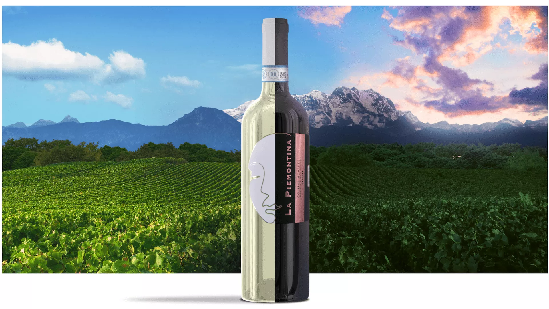 Immagine cantina La Piemontina
