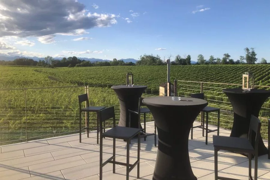 Immagine Degustazione 4 Vini con vista sui vigneti e Visita guidata della Cantina 12